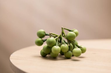 Hafif acı tatları ve tıbbi özellikleriyle tanınan bir grup taze hindi meyvesi, hafif ahşap bir masanın üzerinde duruyor ve çeşitli Tayland yemeklerinde kullanımlarını sergiliyor..