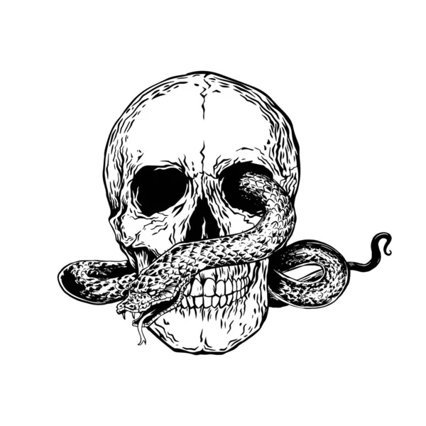 Serpiente Cráneo Blanco Negro — Vector de stock