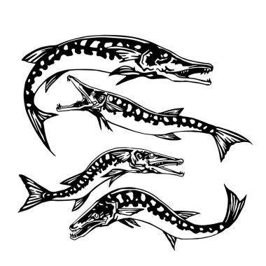 Okyanus balığı eskiz sanatı