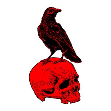 kafatası üzerinde duran karga