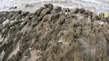 Al Azaiba Muscat Umman 'dan Rocky ve Sand Beach Muscat, Umman' da Al Azaiba 'nın Rocky ve Sandy Beach' inin Sahne Güzelliğini Keşfeder