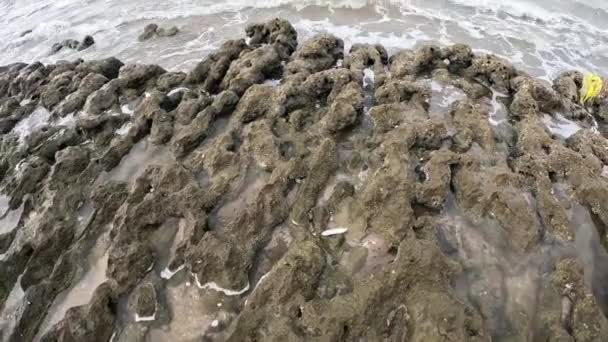 Rocky Sand Beach Azaiba Muscat Omã Descubra Beleza Cênica Praia — Vídeo de Stock