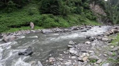 Pakistan 'ın Kumrat Vadisi' nde akan nehrin sakin manzarası. Yumuşak suların yumuşak taşların üzerinde döndüğü ve yemyeşil sularla çevrili. Huzuru ve huzuru davet ediyor..