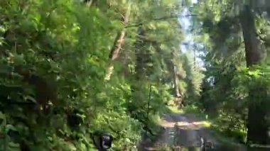 Pakistan 'daki Kumrat Vadisi' nin dar yemyeşil çimenliklerinde yol alırken, yüksek ağaçlar ve doğanın güzellikleriyle çevrili, cipten canlı bir zaman dilimi..