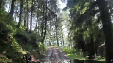 Pakistan 'daki Kumrat Vadisi' nin yemyeşil yeşilliklerinde gezinen jipten canlı bir zaman çizelgesi yükselen ağaçlarla çevrili huzurlu bir yolu gözler önüne seriyor.