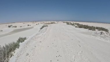 Beyaz kumların hareketli görüntüsü, parlak mavi gökyüzünün altında uzanır. Duquiya Sands, Sharqiya 'da sakin bir arazide keşif ve merak uyandırır.