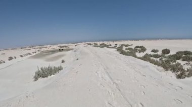 Beyaz kumların hareketli görüntüsü, parlak mavi gökyüzünün altında uzanır. Duquiya Sands, Sharqiya 'da sakin bir arazide keşif ve merak uyandırır.