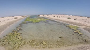 Sakin su yolu, açık mavi gökyüzünün altında yeşil yosunlarla benekli Sharqiya 'nın altın kumları arasından esiyor.