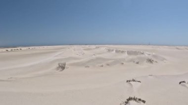 Duqum, Umman 'daki Sharqiya Sands' in hareketli görüntüsü