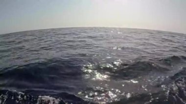 Geniş okyanus sularının yakın görüntüsü, Umman 'daki Ad Dimaniyat Adaları' nda açık bir gökyüzü altında ufka doğru uzanıyor.