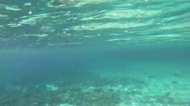 Umman 'daki Ad Dimaniyat Adaları' nda deniz güzelliğini vurgulayan kumlu deniz tabanının huzurlu manzarası.