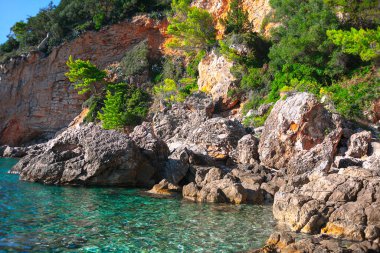 Kayalık okyanus kıyısı. Tropikal cennet kıyı manzarası 