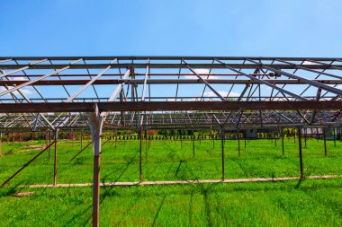 Terk edilmiş eski bir sera. Planthouse ve yeşil çayır