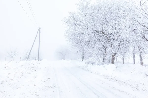 Χειμερινός Δρόμος Καλυμμένος Χιόνι Δεκέμβριος Πρωί Φύση Χώρα Τρόπος Χειμώνα — Φωτογραφία Αρχείου