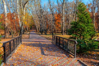 Sonbahar parkında kaldırım. Sonbahar yaprakları asfaltta. Halk parkında köprü 