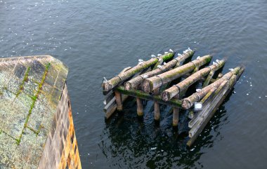 Nehirdeki ahşap buz kırıcı. Prag 'daki Vltava Nehri' ndeki Köprü Buzu koruması