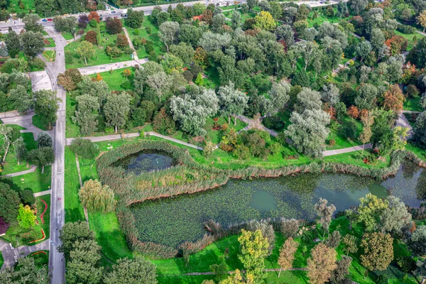 City park and lake with from above . Aerial view of green public park