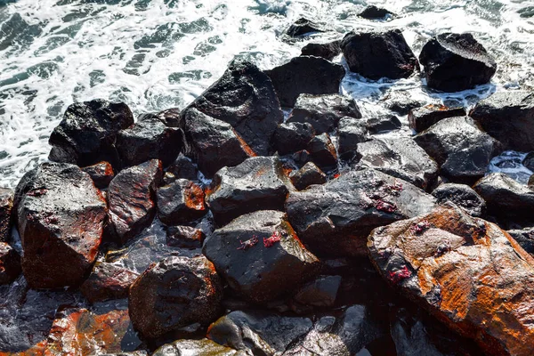 Pedras Costeiras Ondas Oceânicas Caranguejos Nas Rochas Beira Mar — Fotografia de Stock