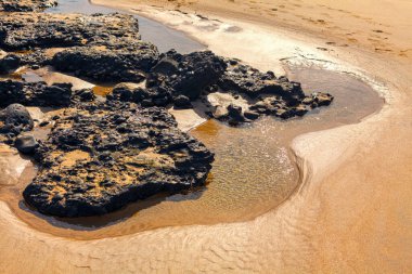 Kıyı kayaları ve kum. Islak kumlu sahil