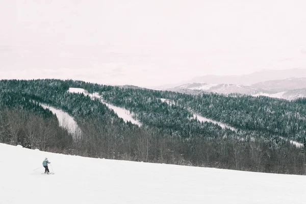 Skiing on the snowy mountains . Winter panorama with coniferous forest with snowy hills . Skier skiing alone