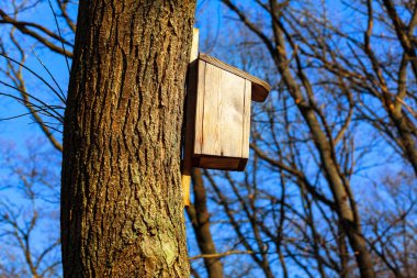 Wooden birdhouse on a tree in the park . House for birds on trunk 