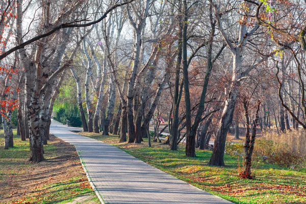 Trail at the spring park . Walking path with pavement