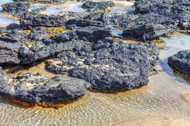 Rocky lava on the coast . Ocean shore with stones