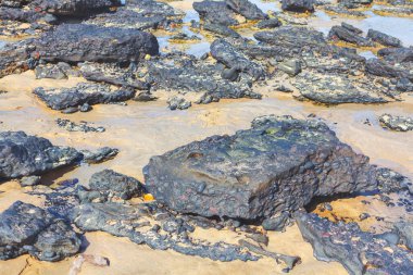Volcanic rocks formation at Atlantic Ocean coast . Typical beach in Canary Islands