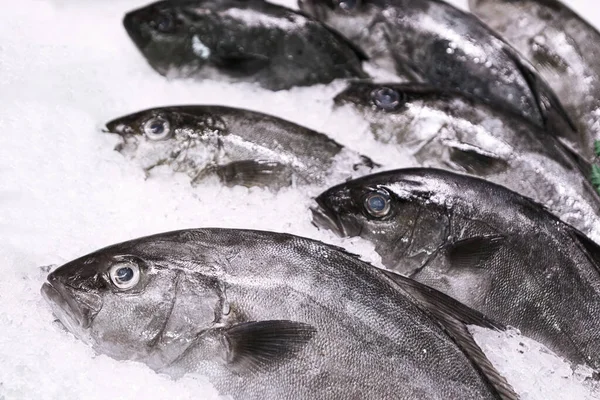 Рыба Льду Продажу Замороженные Продукты — стоковое фото