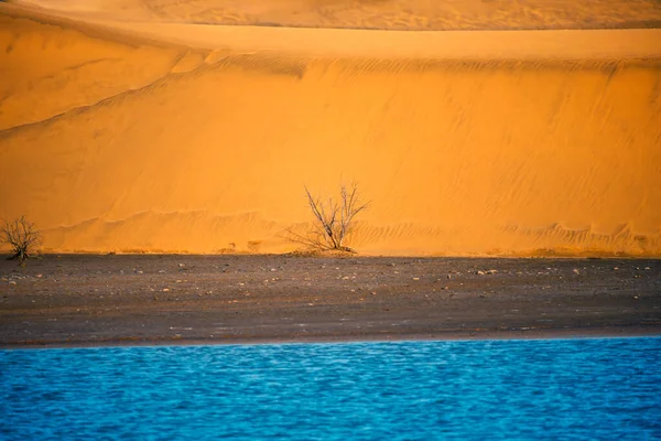 Desert Scene Oasis Coastal Sand Dune — Stock Photo, Image