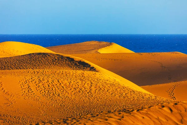 Maspalomas Kustduinen Gran Canaria Natuurreservaat Met Goudkleurig Zand — Stockfoto