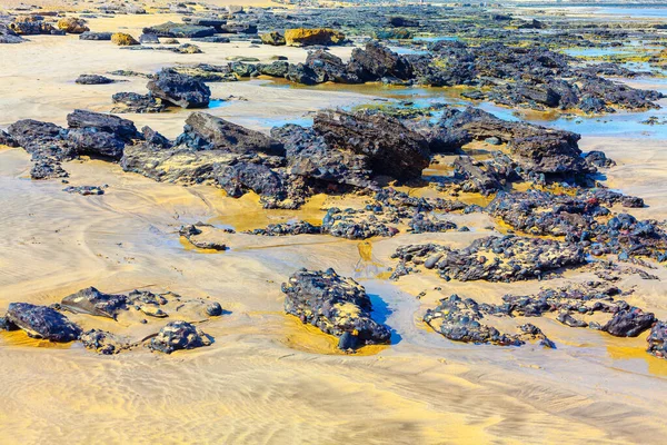 Volkanik Kayaları Olan Kumlu Sahil Kanarya Adası Nın Sahil Manzarası — Stok fotoğraf