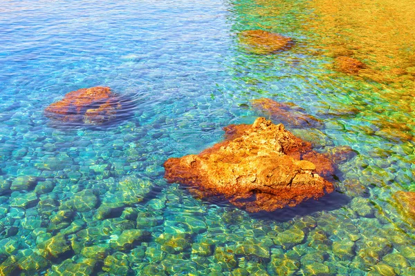 Rocks Transparent Sea Water Stone Bottom Sea — Stock Photo, Image
