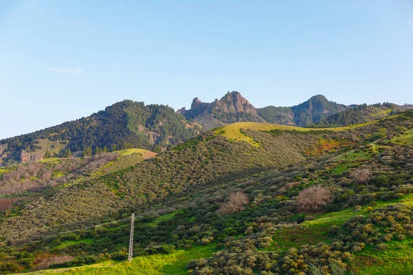 大加那利山脉的高山风景 秀丽的青山风景 — 图库照片