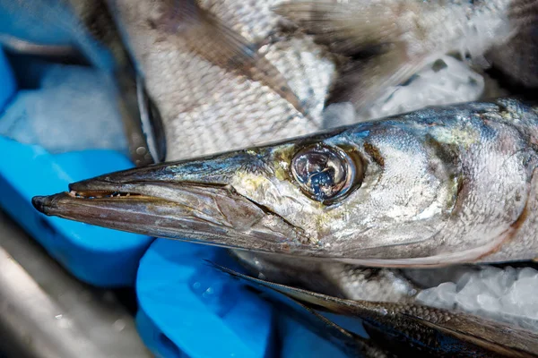 Свежая Рыба Рыбном Рынке Детали Рыбьей Морды — стоковое фото