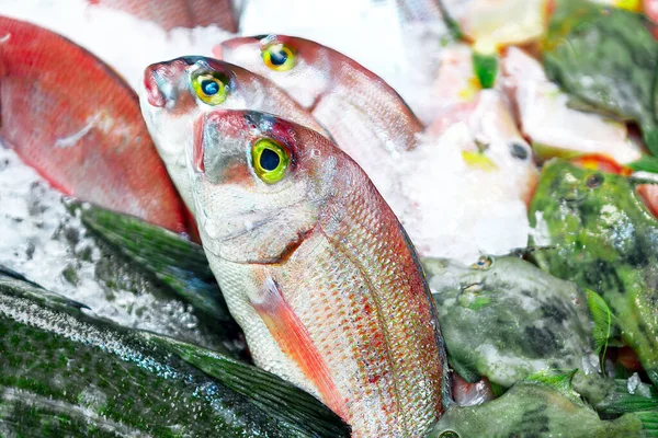 Φρέσκο Ωμό Ψάρι Στην Αγορά Ψάρια Στον Πάγο Προς Πώληση — Φωτογραφία Αρχείου