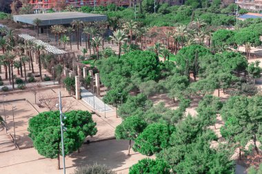 Barselona 'da tropik ağaçların olduğu park