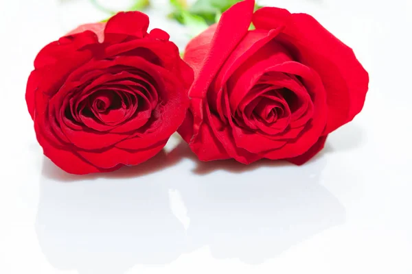 Red roses at white . Two wedding roses
