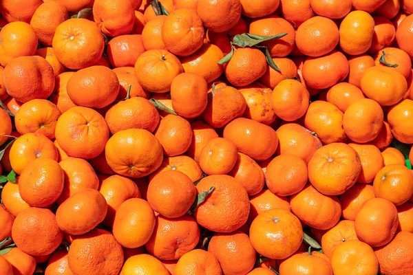 Frutta Fresca Arance Arance Biologiche Vendita — Foto Stock