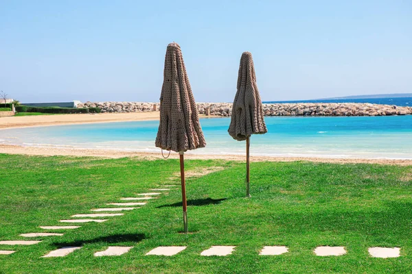 Grass Tropical Beach Luxury Beach Lawn Sun Umbrellas — Stock Photo, Image