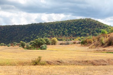 Yeşil tepeli yaz doğası. Yazın kuru çayır. 