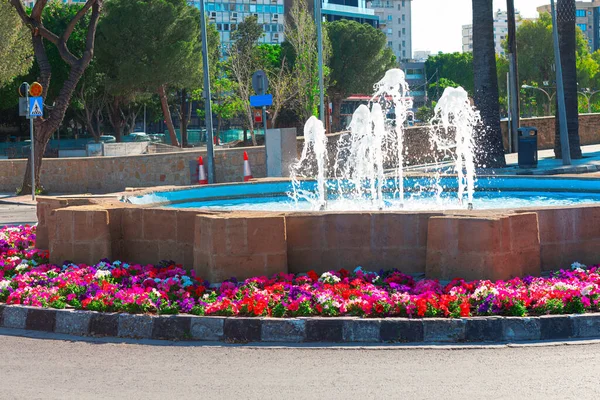 City gardens and fountain . Nicosia summer street decoration