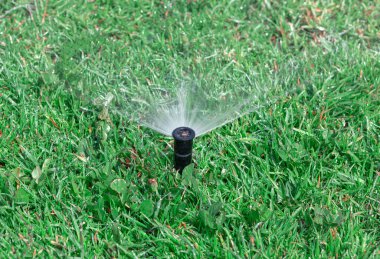 Çim sulama sistemi. Yeşil çimlerde su fıskiyesi 