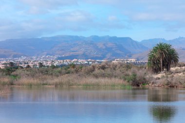 Kum tepeleri ve sahil arasında Maspalomas Gölü. Dağları ve gölü olan Büyük Kanarya manzarası 