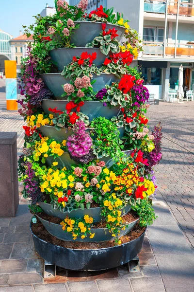 Stackable Vertical Flower Plant Pot . Street flowerbed blooming . Planter Vertical Garden for Flowers