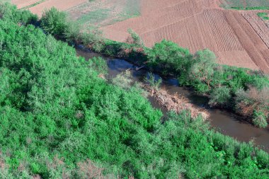 Riverside yeşil ağaçları yukarıdan görünüyor. Bahar doğasının hava manzarası
