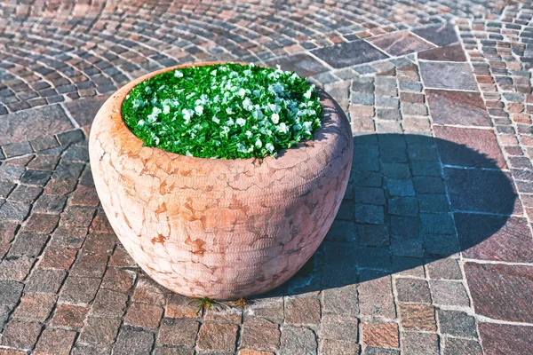 Çiçekli Sokak Taşı Vazosu Kaldırımdaki Çiçekli Vazo — Stok fotoğraf