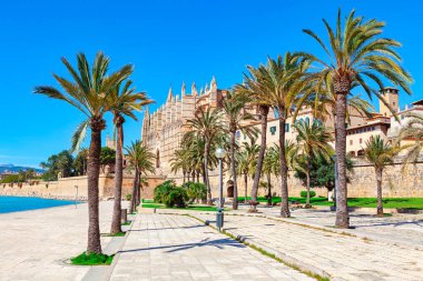 Mallorca Katedrali ve palmiye ağaçlarıyla dolu bir park. Palma de Mallorca 'da Parc de la Mar