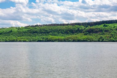 Riverside Green Hill manzarası. Nehir kıyısında büyüyen orman 