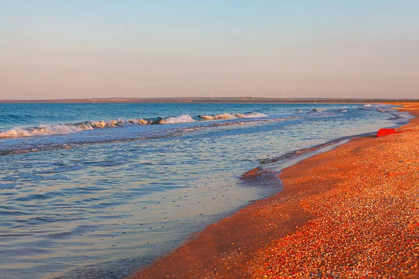 Seashells Beach Waves Sea Azov Morning — Stock Photo, Image